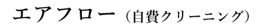エアフロークリーニング（自費クリーニング）